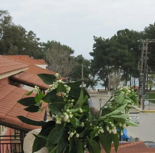 Mandola Del Mare *